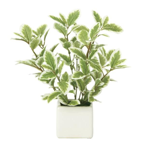 《アートグリーン》《人工観葉植物》&lt;br&gt;光触媒　光の楽園　ミニリーフＧ／Ｗ