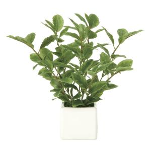 《アートグリーン》《人工観葉植物》<br>光触媒　光の楽園　ミニリーフ｜cloverplain