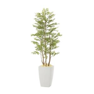 《アートグリーン》《人工観葉植物》光触媒　光の楽園　アーバンゴールデンリーフ１．８｜cloverplain