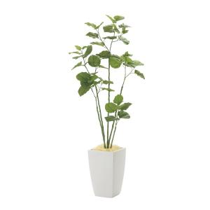《アートグリーン》《人工観葉植物》光触媒　光の楽園　アーバンブランチウンベラータ１．８｜cloverplain