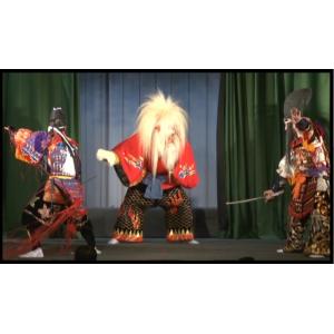 DVD/広島神楽の詳細画像1