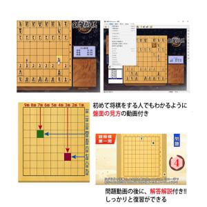 たった1日で強くなる!DVD「将棋実践ガイド ...の詳細画像2