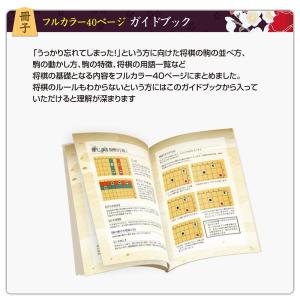 たった1日で強くなる!DVD「将棋実践ガイド ...の詳細画像3