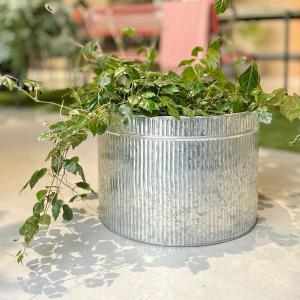 CLOVER（家具、インテリア） CLOVER(クローバー) プランターオン