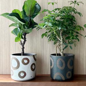 Carhartt（カーハート） 3点セット Carhartt WIP プランターカバー