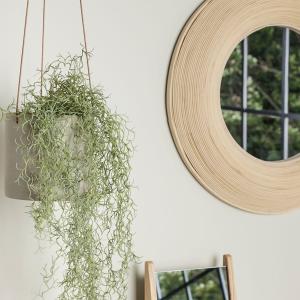 Hubsch(ヒュプシュ) エアリープランターラージ Φ42 ホワイト/ブラック