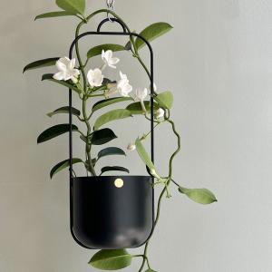 Hubsch(ヒュプシュ) エアリープランターラージ Φ42 ホワイト/ブラック