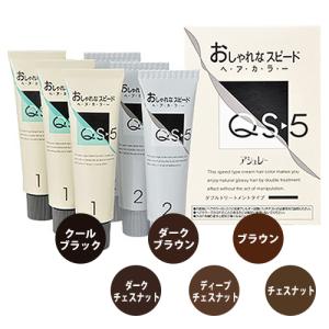 ホーユー アシュレーQS-5 E おしゃれなスピードヘアカラー 業務用3本