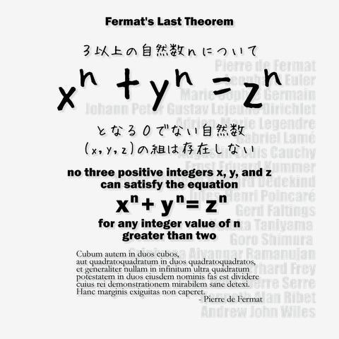 数学Tシャツ：フェルマーの最終定理：オイラー：アンドリュー・ワイルズ：学問・数字・数式（Tシャツ,通...
