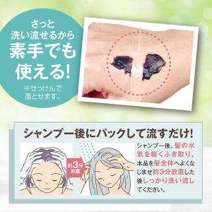 プレゼントつき ノン ジアミンフリー グレイヘ...の詳細画像4