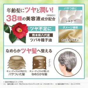 プレゼントつき ノン ジアミンフリー グレイヘ...の詳細画像5