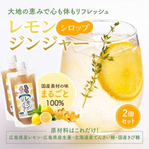 ジンジャーシロップ ジンジャーエールの素 生姜...の詳細画像1