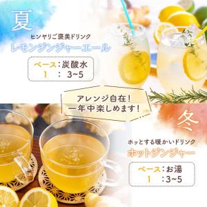 ジンジャーシロップ ジンジャーエールの素 生姜...の詳細画像2