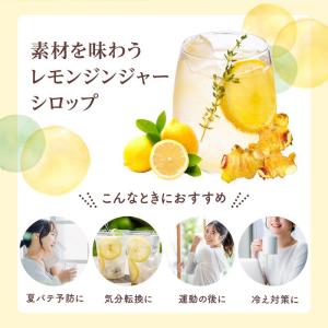 ジンジャーシロップ ジンジャーエールの素 生姜...の詳細画像3