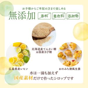 ジンジャーシロップ ジンジャーエールの素 生姜...の詳細画像4