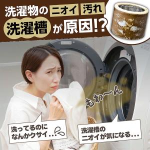 酸素系 洗濯槽クリーナー ドラム式 洗剤 粉末...の詳細画像1
