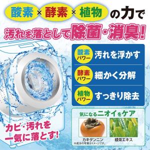酸素系 洗濯槽クリーナー ドラム式 洗剤 粉末...の詳細画像4