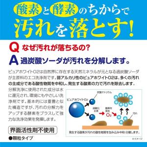 洗濯槽クリーナー 酸素系 掃除 多目的洗剤 業...の詳細画像5