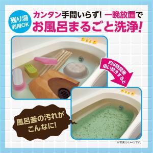 風呂釜洗浄剤 二つ穴 一つ穴 お風呂掃除 洗剤...の詳細画像4