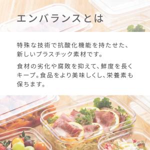 2個セット エンバランス 容器 味噌 効果 野...の詳細画像1