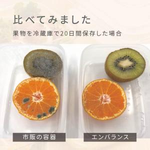 2個セット エンバランス 容器 味噌 効果 野...の詳細画像2