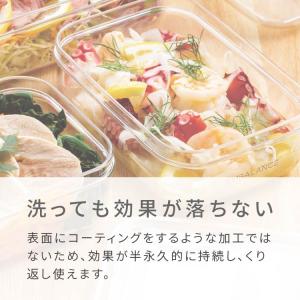 2個セット エンバランス 容器 味噌 効果 野...の詳細画像3