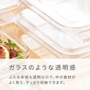 2個セット エンバランス 容器 味噌 効果 野...の詳細画像5