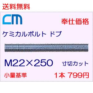 ケミカルボルト ドブ 1本 799円 4本セット 3,196円 全ネジ 寸切のみ M22×250 NWなし ケミカルアンカーボルト｜cm-netshop