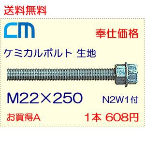 ケミカルボルト 生地 1本 608円 31本セット 18,848円 全ネジ 寸切カット M22×250 N2W1付 ケミカルアンカーボルト｜cm-netshop