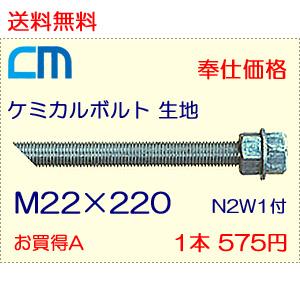 ケミカルボルト 生地 1本 575円 36本セット 20,700円 全ネジ 斜めカット M22×220 N2W1付 ケミカルアンカーボルト｜cm-netshop