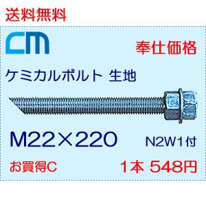 ケミカルボルト 生地 1本 548円 141本セット 77,268円 全ネジ 斜めカット M22×220 N2W1付 ケミカルアンカーボルト｜cm-netshop