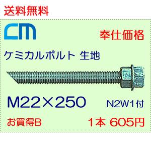 ケミカルボルト 生地 1本 605円 62本セット 37,510円 全ネジ 斜めカット M22×250 N2W1付 ケミカルアンカーボルト｜cm-netshop