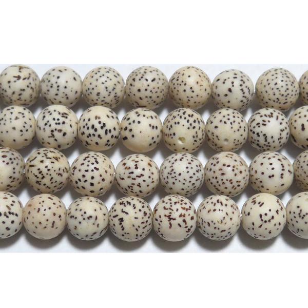 星月菩提樹 8mm B　　　※ ビーズ 1粒売り バラ売り 1玉販売
