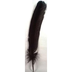 羽ペン 黒　　　※ 魔術用品 儀式用品 おまじないグッズ 占いなど