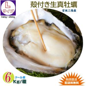 牡蠣 宮城県三陸・牡鹿半島産 殻付き生牡蠣 Lサイズ 6kg /箱 産地直送 送料無料