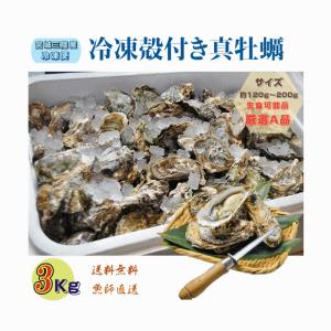 奄美大島産 すもも プラム 約3kg B級品 ご家庭用 Lサイズ（中玉