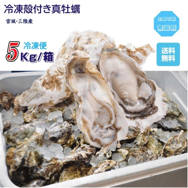 牡蠣 三陸産雄鹿半島 生食可能 殻付き冷凍牡蠣 ５kg /箱 無選別 送料無料