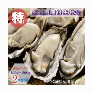 オススメ 牡蠣 特別価格提供 生食用 宮城県女川雄勝産 殻付き生牡蠣 秀品サイズ ２kg /箱 オススメ 送料無料 KW