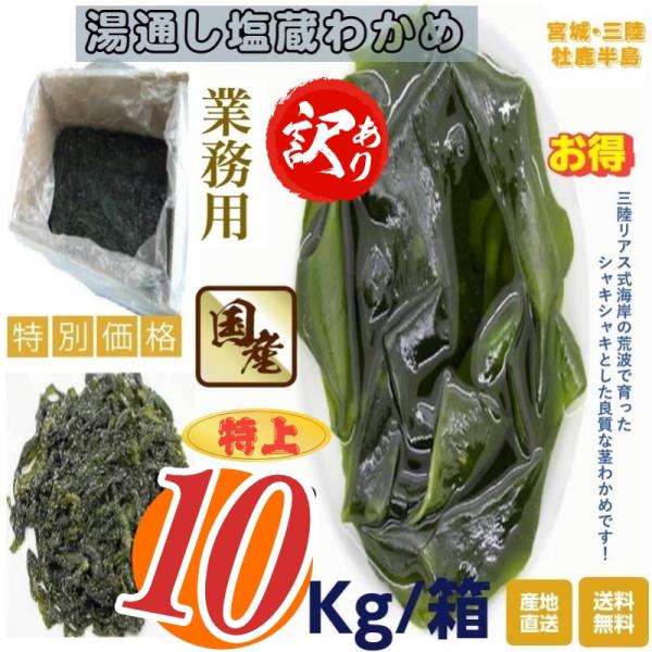 訳あり 宮城・三陸小渕浜産 湯通し塩蔵わかめ 業務用：10Kg /箱 産地直送 送料無料