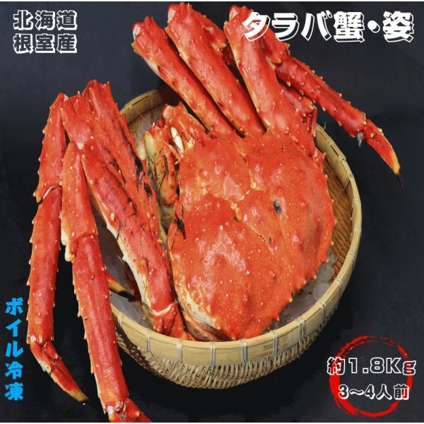 タラバ蟹　姿1.8ｋｇ前後 3-4人前 ボイル冷凍 北海道産 送料無料 産地直送