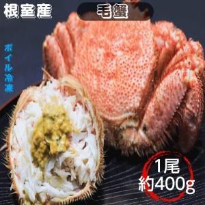 毛蟹 ４００g前後 ボイル冷凍 北海道根室産 送料無料 産地直送 一人前