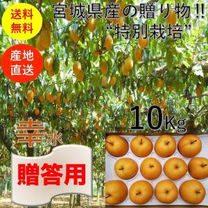 【早期予約販売】【贈答品】ブランド和梨「幸水」１０kg/箱【送料無料】【宮城県産】産地直送