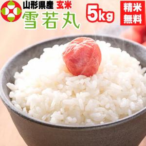 ふるさと納税 2024年11月：令和6年産コシヒカリ15Kg 岡山県吉備中央町