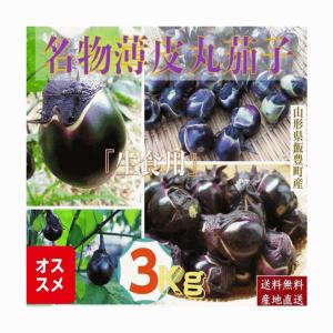 野菜　山形県飯豊町産 名物薄皮丸茄子：生：３Kg /袋