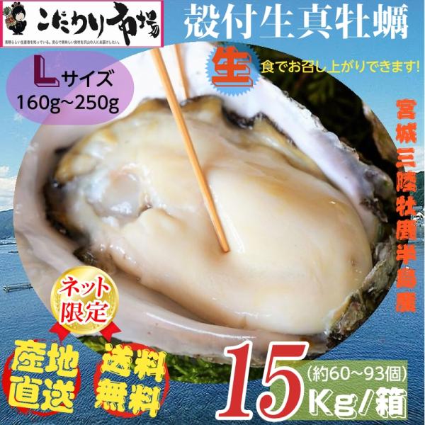 牡蠣 宮城県三陸・牡鹿半島産 殻付き生牡蠣 業務用 Lサイズ 15kg /箱 産地直送 送料無料