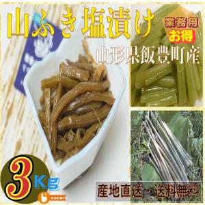 天然山菜 わらびの塩漬け 業務用 10Kg 自然の恵み 限定販売 山形県