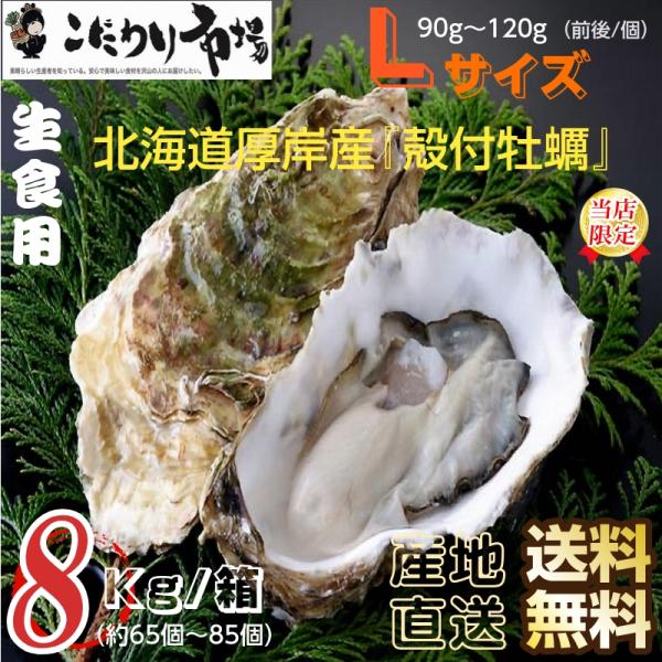 牡蠣 北海道厚岸産 殻付き生牡蠣 8kg /箱 Lサイズ 産地直送 送料無料