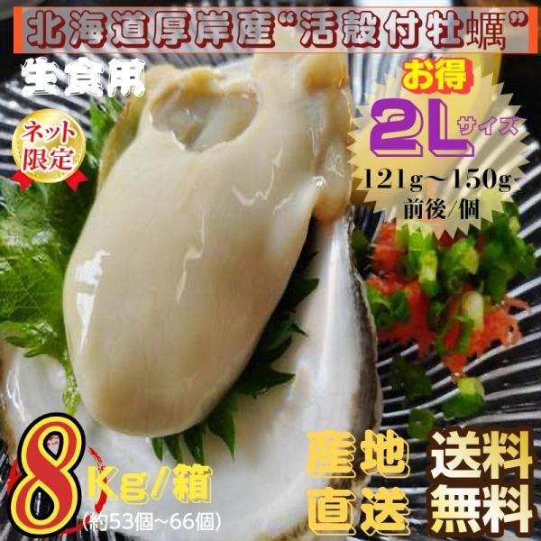 牡蠣 北海道厚岸産 殻付き生牡蠣 8kg /箱 2Lサイズ 産地直送 送料無料