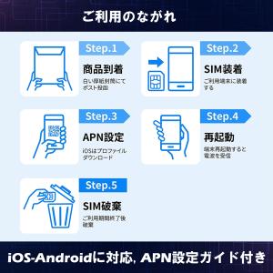 日本 プリペイドSIM 5GB/月1年間有効 ...の詳細画像3