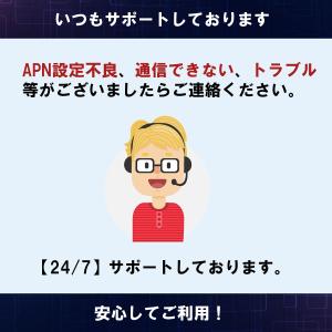 日本 プリペイドSIM 5GB/月1年間有効 ...の詳細画像5